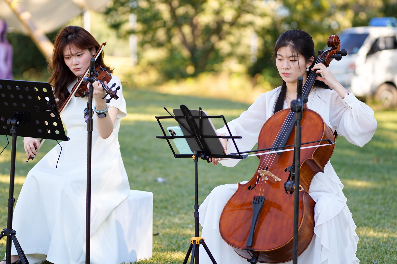小提琴与大提琴 · Violin and cello
